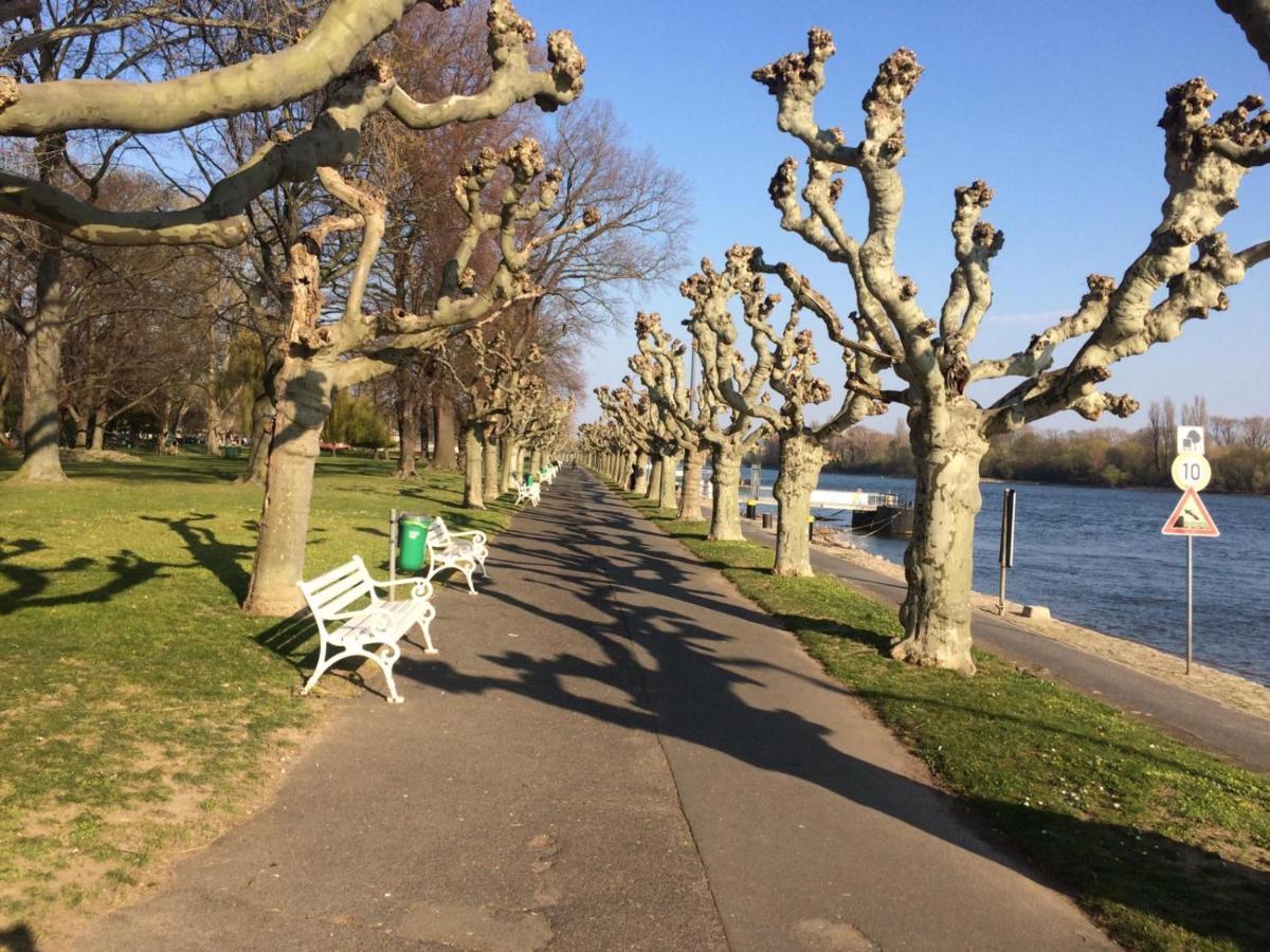 Hotel Krone Ruedesheim Rüdesheim am Rhein Eksteriør bilde