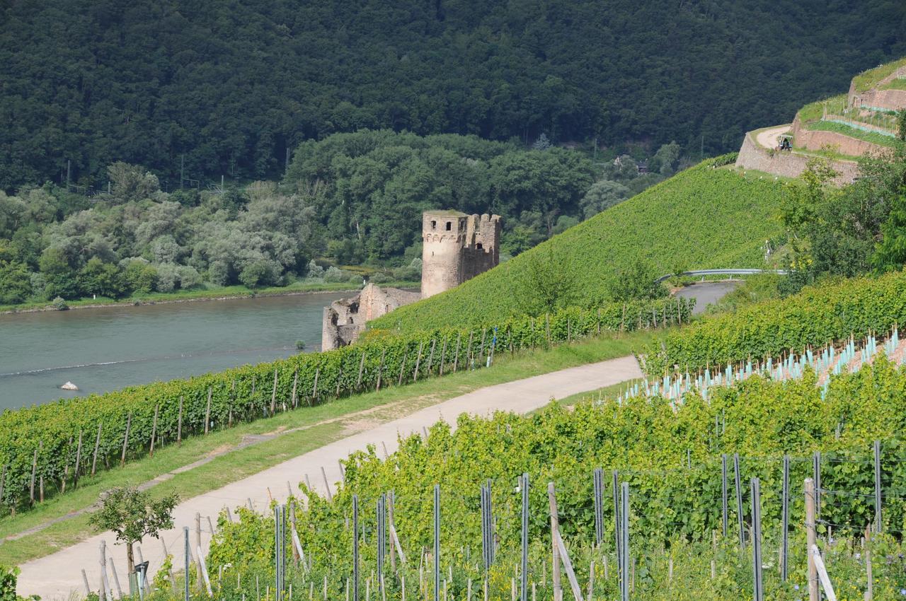 Hotel Krone Ruedesheim Rüdesheim am Rhein Eksteriør bilde